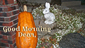 happy thanksgiving